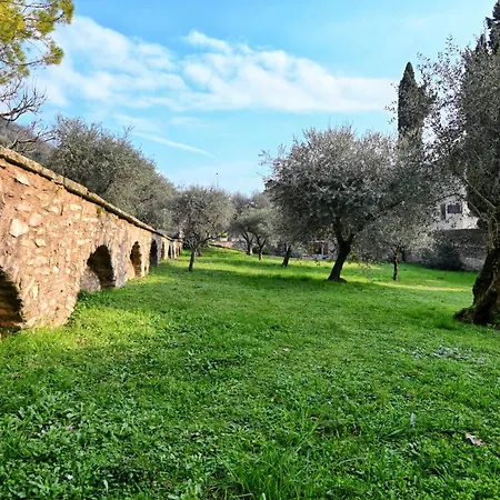 Rustico Cecina - Theater