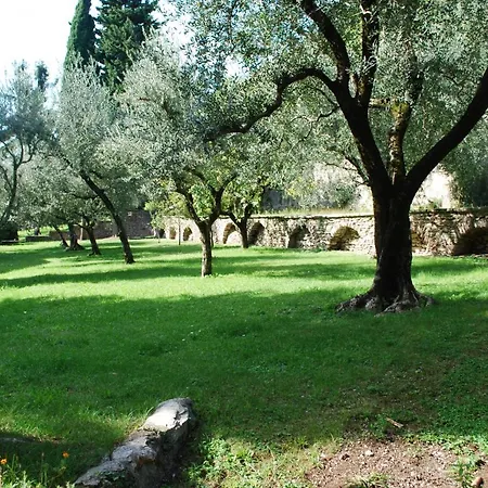 Rustico Cecina - Theater